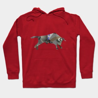 bull market Hoodie